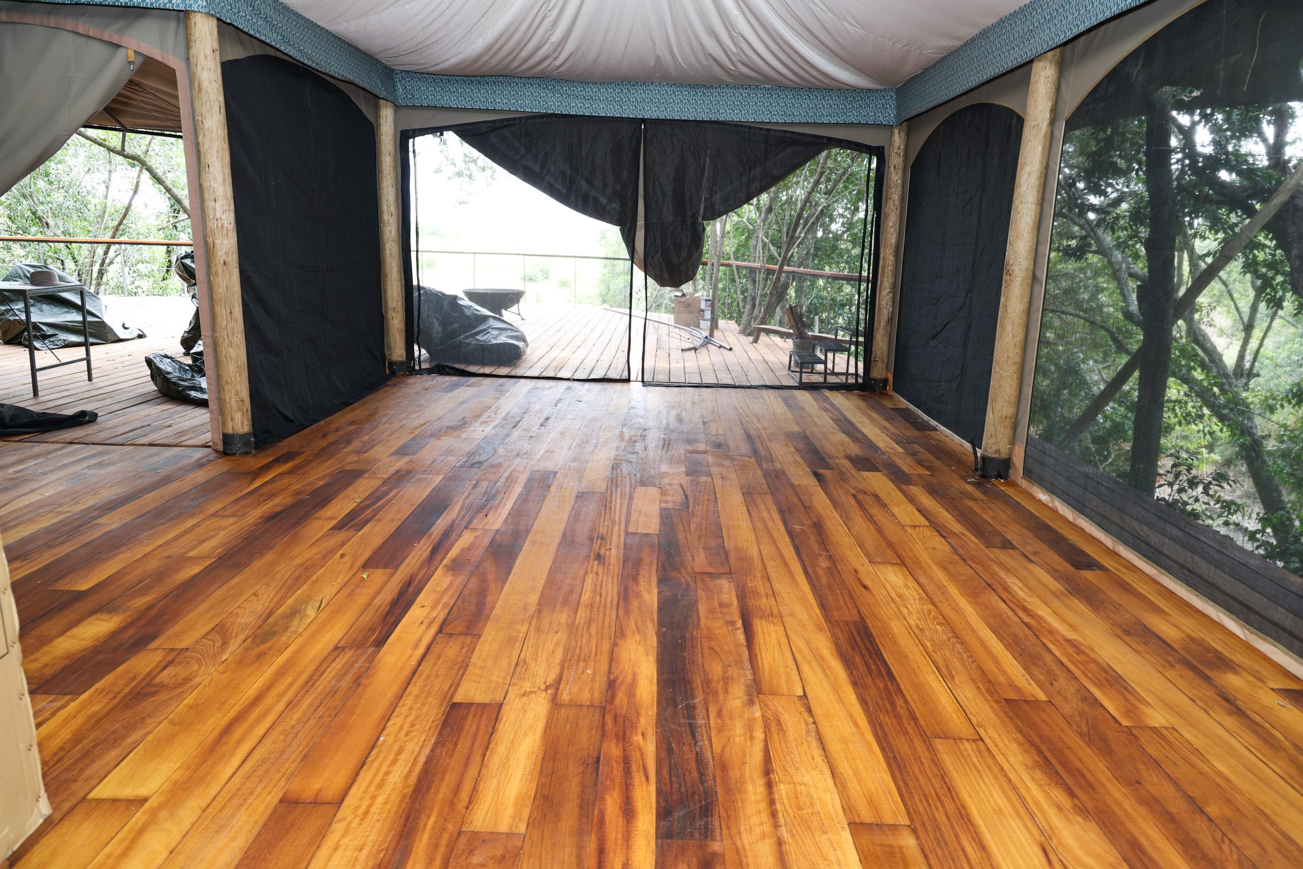 Timber Mvule