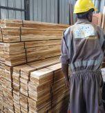 Assorted Teak
